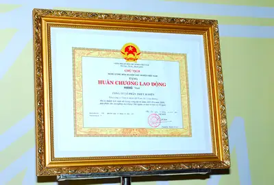 huanchuong lao dong hang nhat thibidi file 8